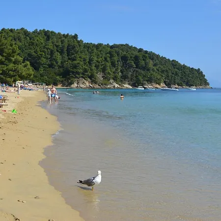 Hotel de apartamente Ostria